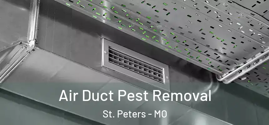 Air Duct Pest Removal St. Peters - MO
