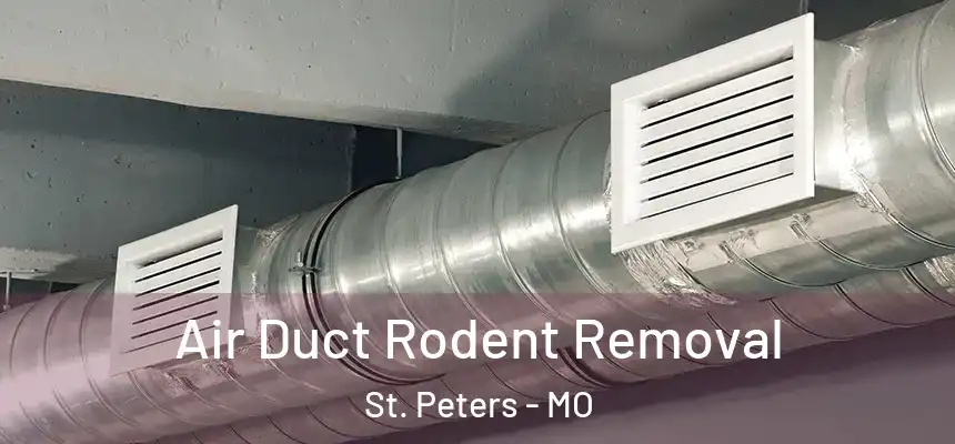  Air Duct Rodent Removal St. Peters - MO
