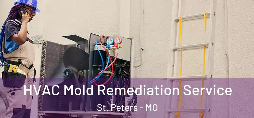  HVAC Mold Remediation Service St. Peters - MO