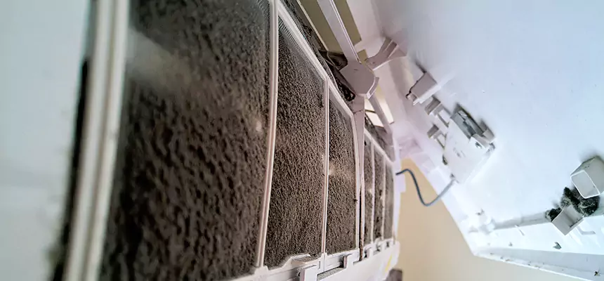 Preventive Air Duct Bacteria Removal in St. Peters