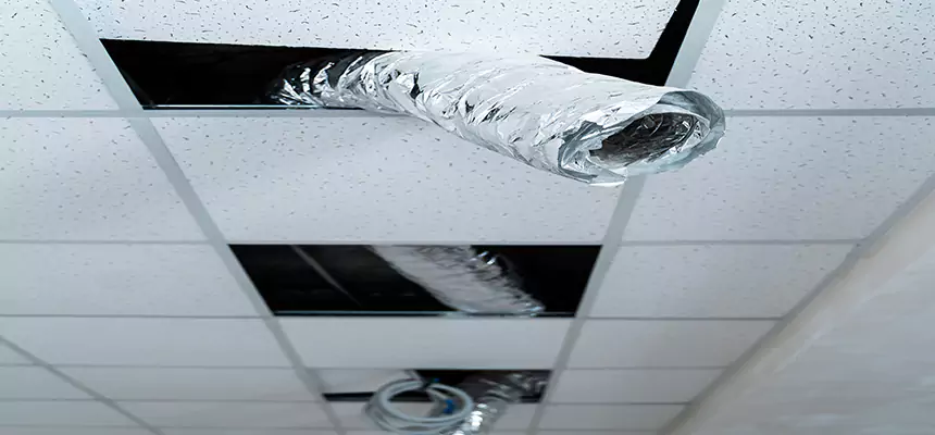 Affordable HVAC Sanitizing After Pest Removal in St. Peters