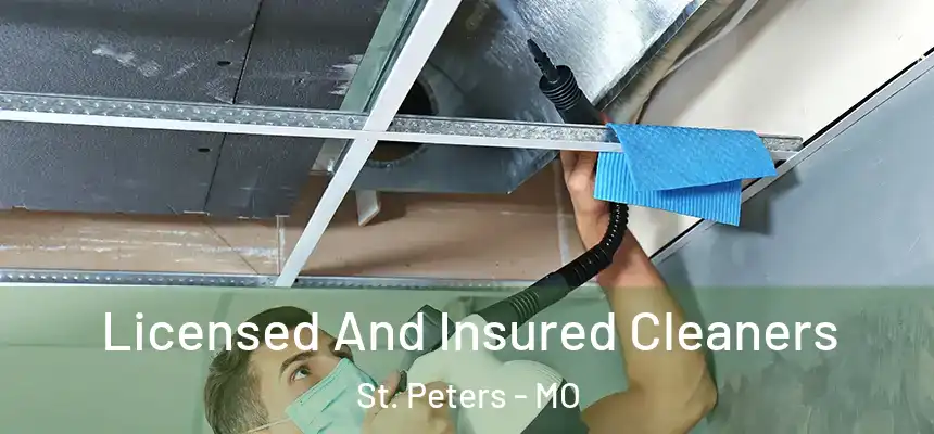  Licensed And Insured Cleaners St. Peters - MO