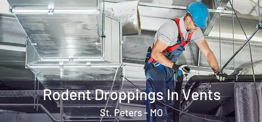 Rodent Droppings In Vents St. Peters - MO
