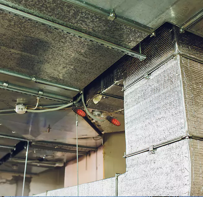 Why Homeowners & Businesses Trust Us St. Peters, MO?